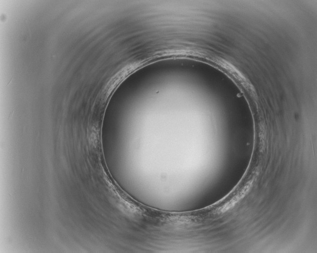 X0000060740993200511171052