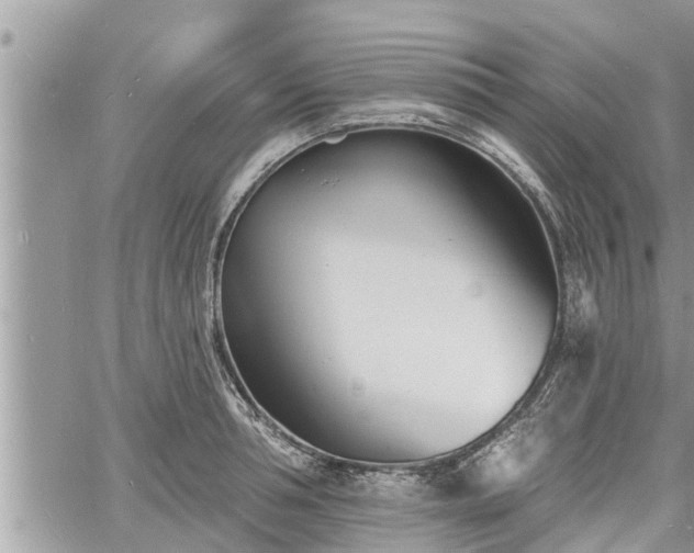 X0000060740994200511171052