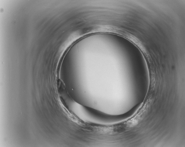 X0000060740996200511171052