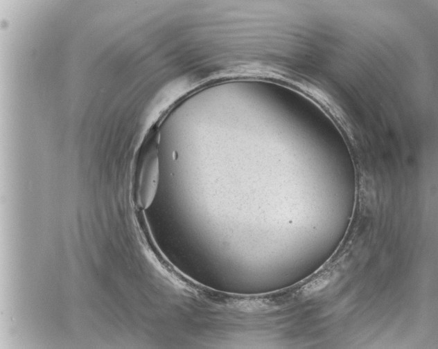 X0000060740998200511171052