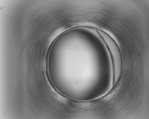 X0000060740999200511171052