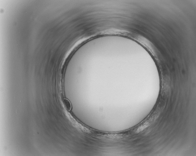 X0000060741000200511171052