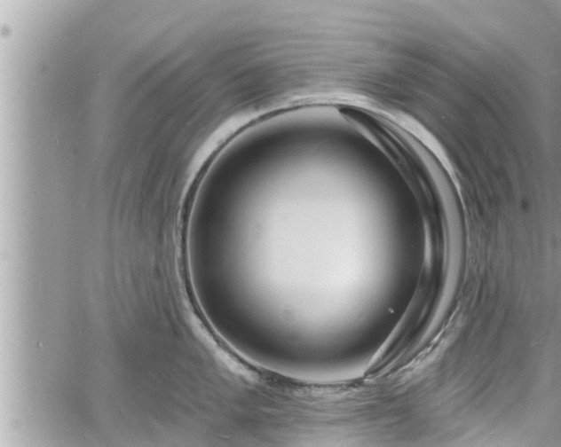 X0000060741005200511171052