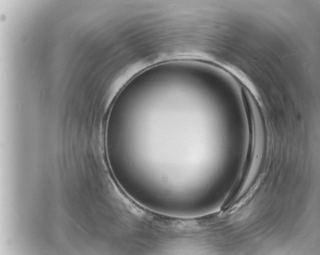 X0000060741006200511171052