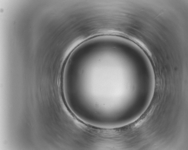 X0000060741007200511171052