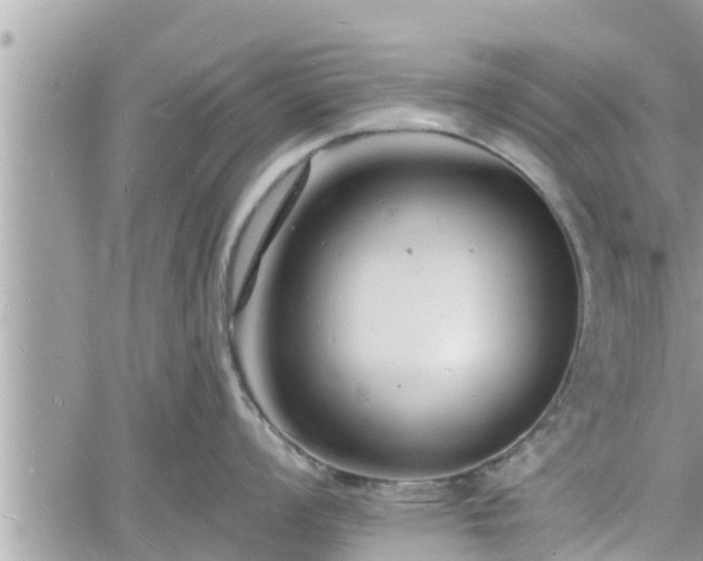 X0000060741008200511171052