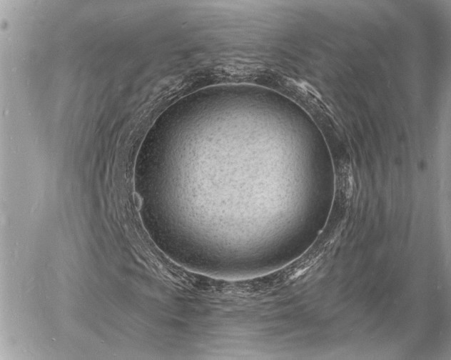 X0000060741009200511171051