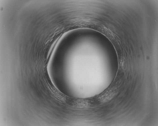 X0000060741012200511171051