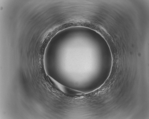 X0000060741016200511171052