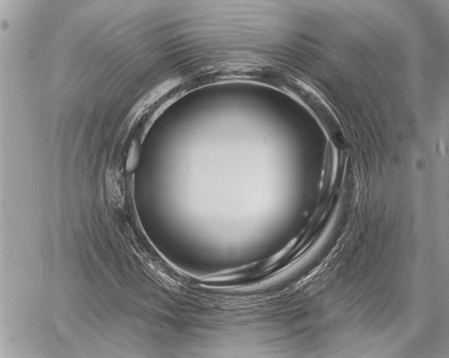 X0000060741018200511171052