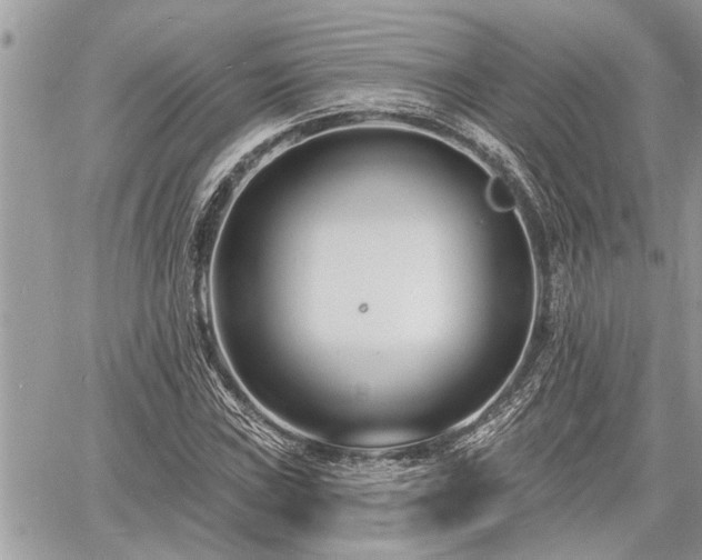 X0000060741019200511171052