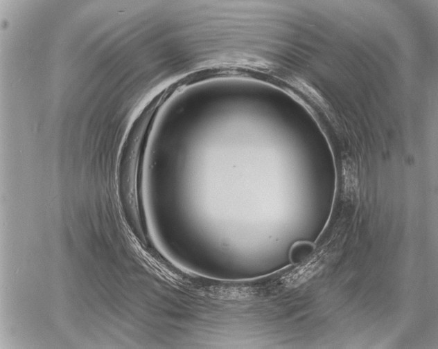 X0000060741020200511171052