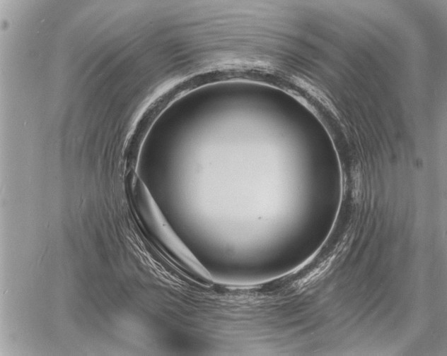 X0000060741021200511171052