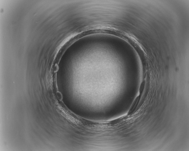 X0000060741024200511171052