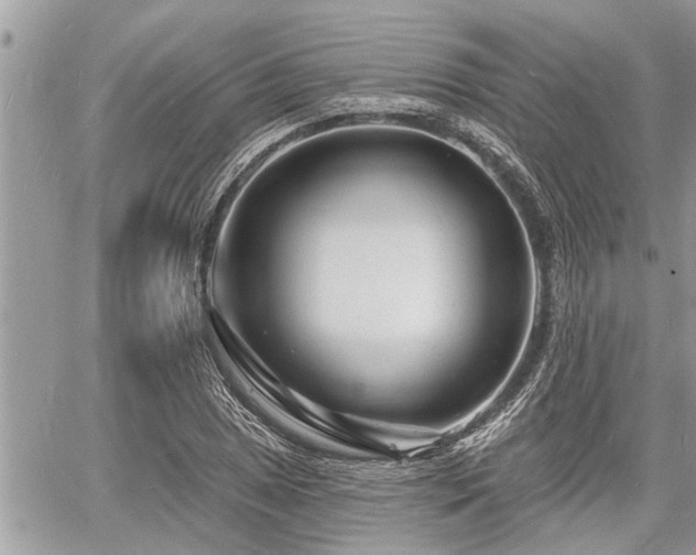 X0000060741025200511171052