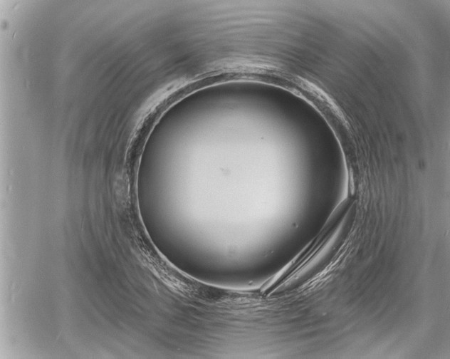 X0000060741027200511171052