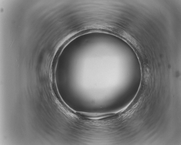 X0000060741028200511171052