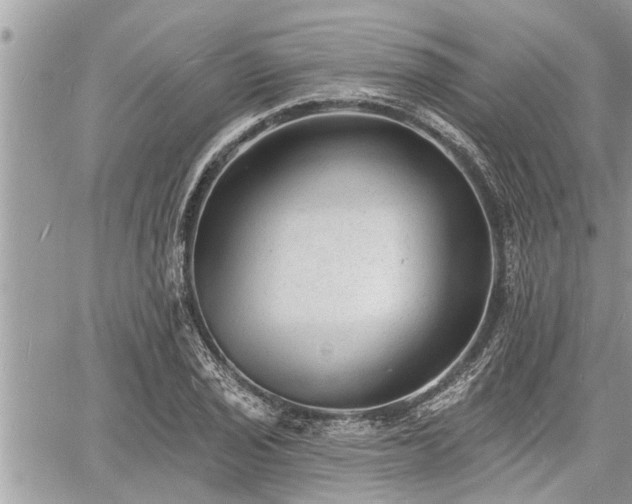 X0000060741029200511171052