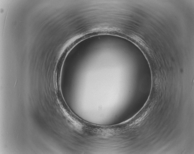 X0000060741030200511171052