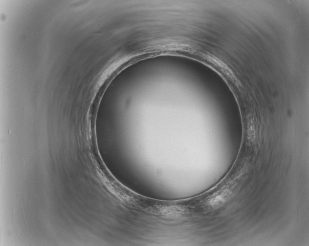 X0000060741031200511171052