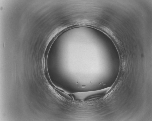 X0000060741032200511171052