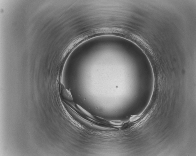 X0000060741033200511171052