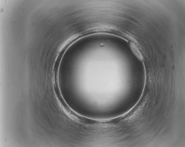 X0000060741034200511171052