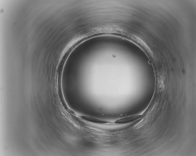 X0000060741035200511171052