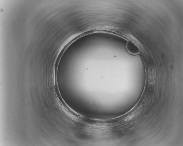 X0000060741036200511171052