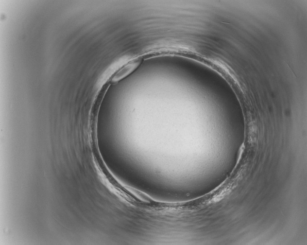 X0000060741038200511171052