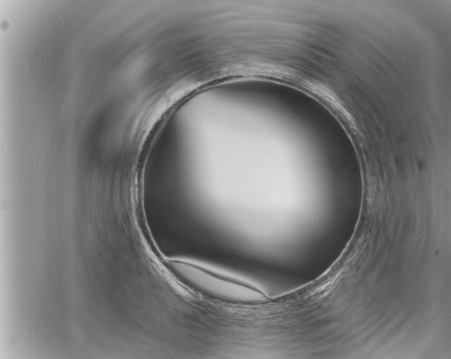 X0000060741040200511171052