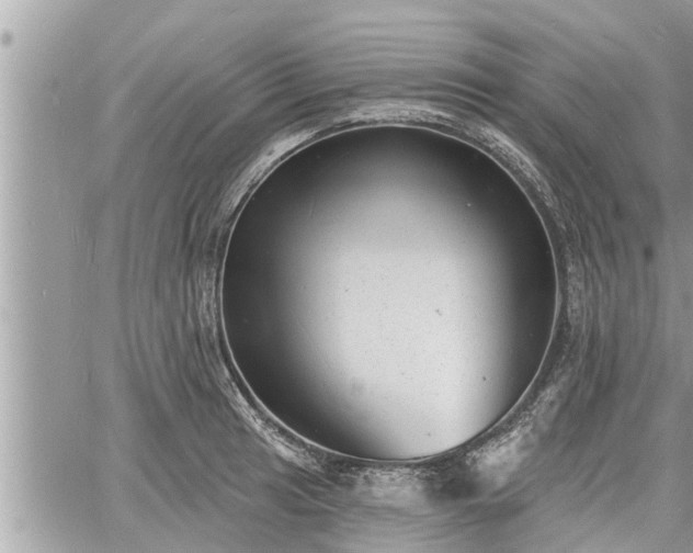 X0000060741041200511171052