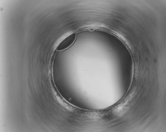 X0000060741042200511171052