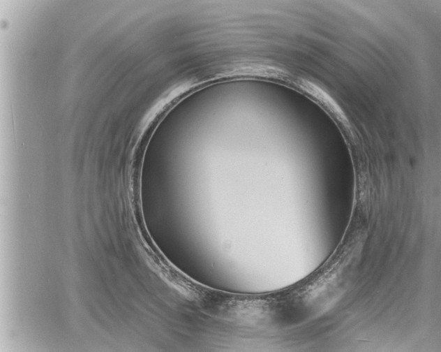 X0000060741043200511171052