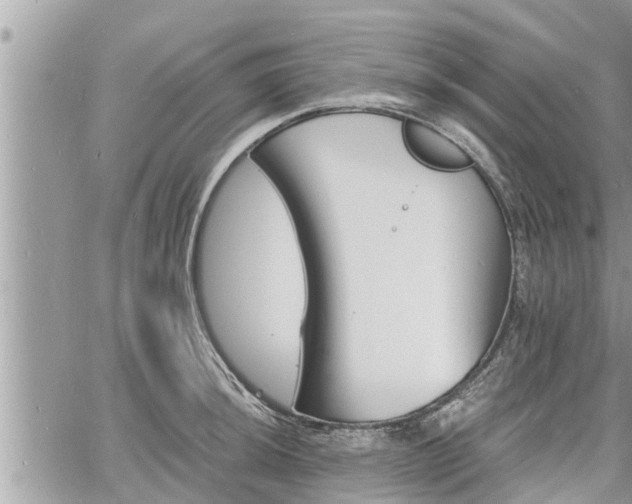 X0000060741044200511171052