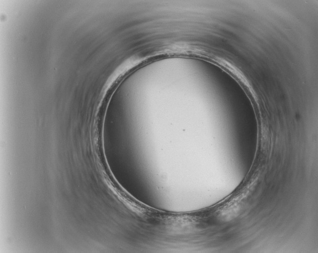 X0000060741045200511171052