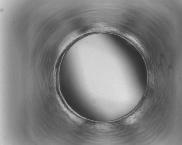 X0000060741046200511171052