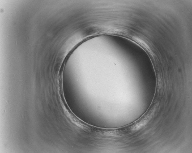 X0000060741047200511171052