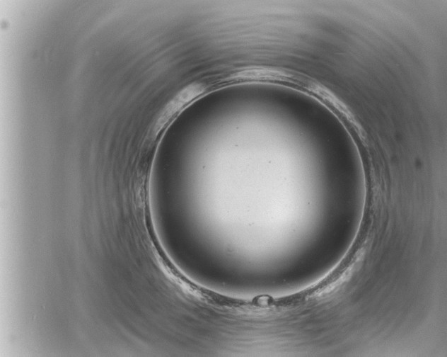 X0000060741049200511171052