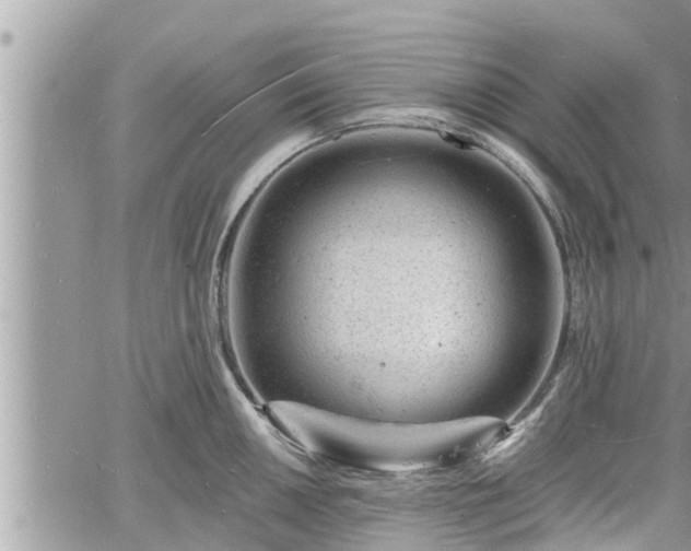 X0000060741050200511171052