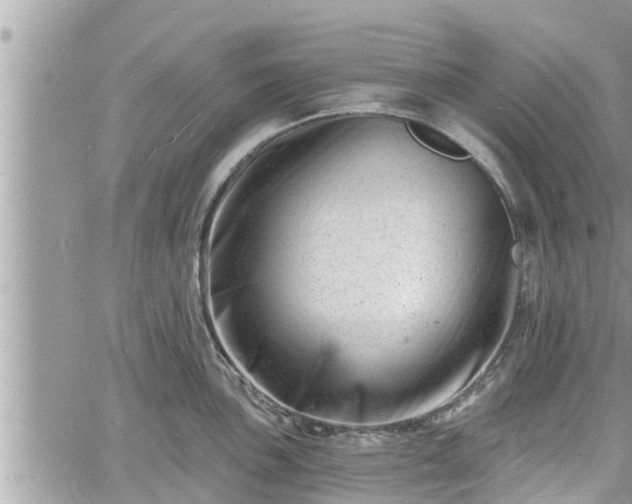 X0000060741051200511171052