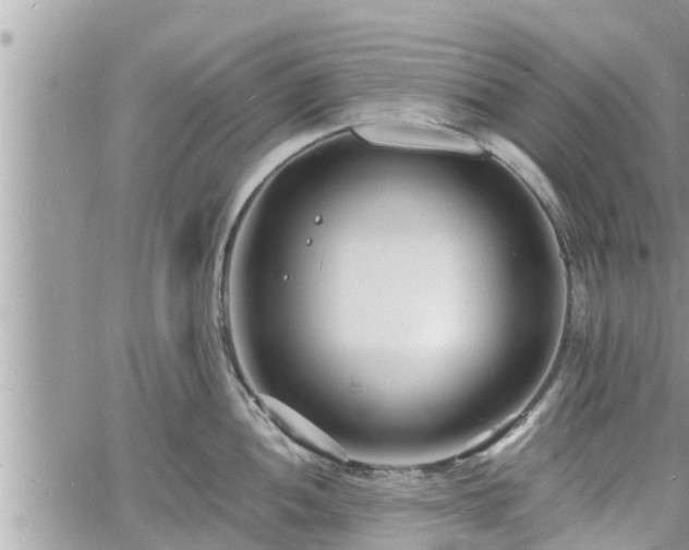 X0000060741052200511171052