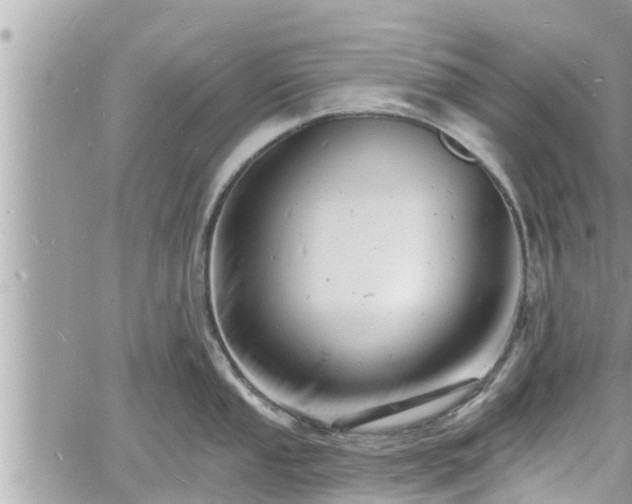 X0000060741053200511171052