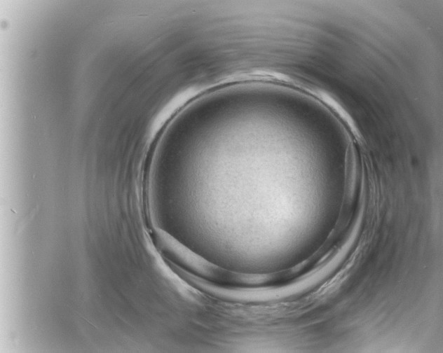 X0000060741054200511171052