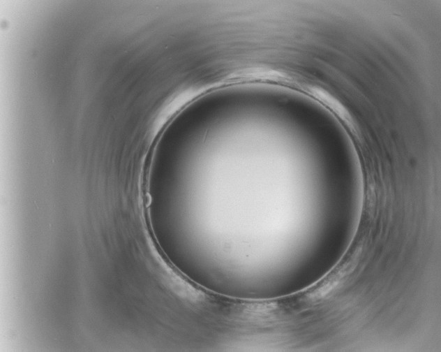 X0000060741055200511171052