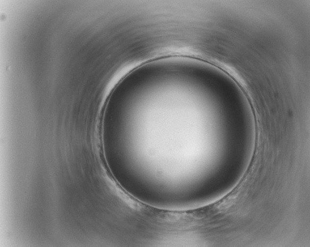 X0000060741056200511171052