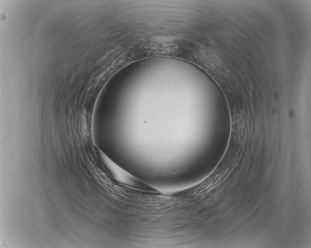 X0000060741058200511171051