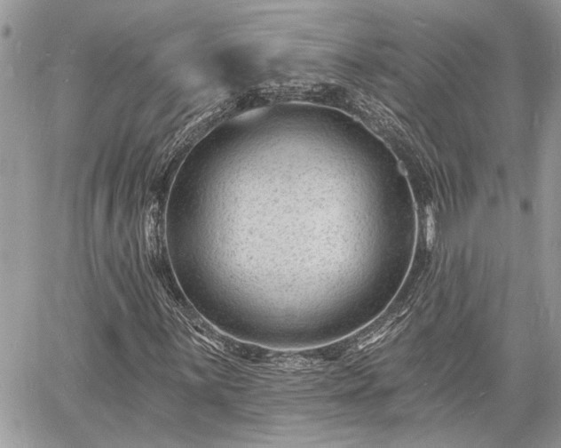 X0000060741059200511171051