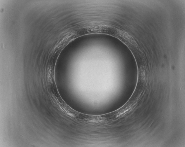 X0000060741060200511171051