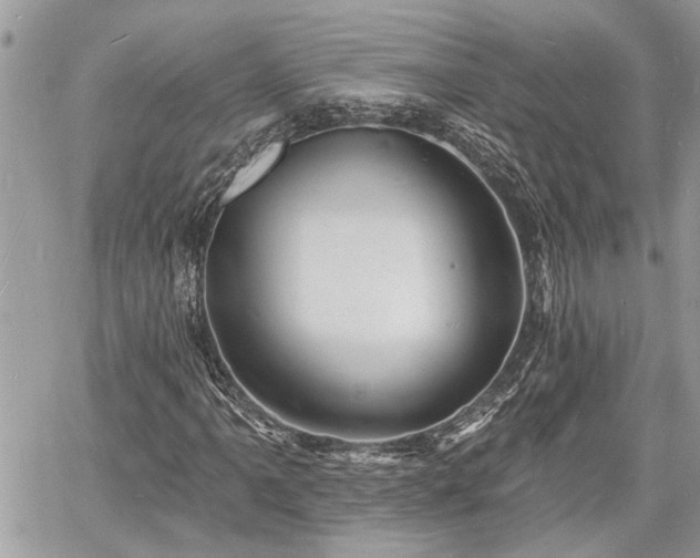 X0000060741061200511171051